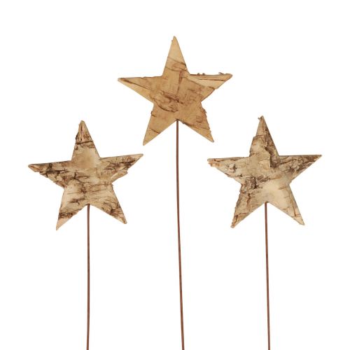 Itens Estrelas decorativas para colar estrelas de decoração de casca de árvore Advento 22cm 24 un