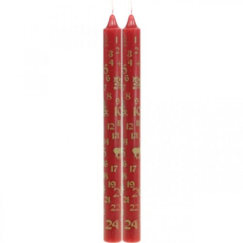 Floristik24 Vela do calendário do advento Velas de Natal vermelhas H25cm 2pcs