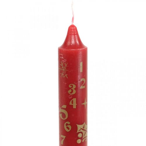 Floristik24 Vela do calendário do advento Velas de Natal vermelhas H25cm 2pcs