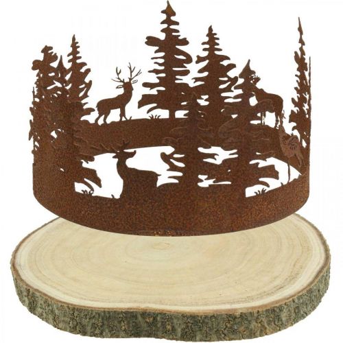 Floristik24 Deco Deco Forest Patina Deco Casca de Árvore Natural Ø25-27cm