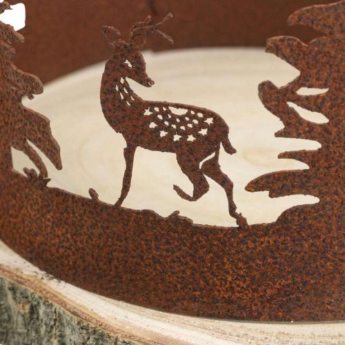 Floristik24 Deco Deco Forest Patina Deco Casca de Árvore Natural Ø25-27cm