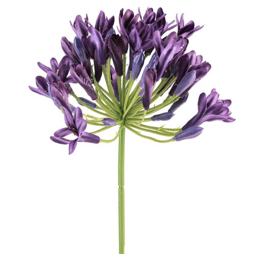Itens Flores artificiais de agapanto, decoração roxa, lírios, 75 cm, 2 unidades
