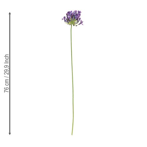 Itens Flores artificiais de agapanto, decoração roxa, lírios, 75 cm, 2 unidades