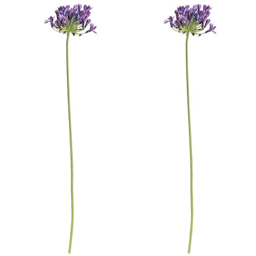 Itens Flores artificiais de agapanto, decoração roxa, lírios, 75 cm, 2 unidades