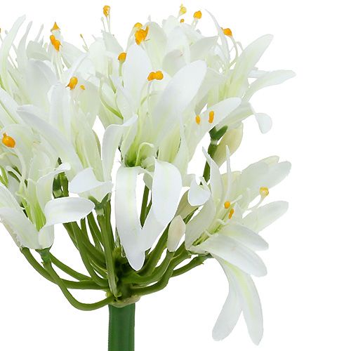 Itens Agapanthus branco 78cm 1ud