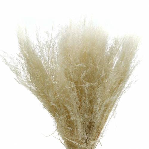 Itens Erva seca Agrostis branqueada 40g