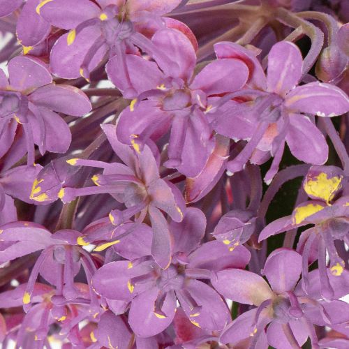 Itens Flor artificial de alho-poró, cebola ornamental, decoração elegante para ambientes, 90 cm