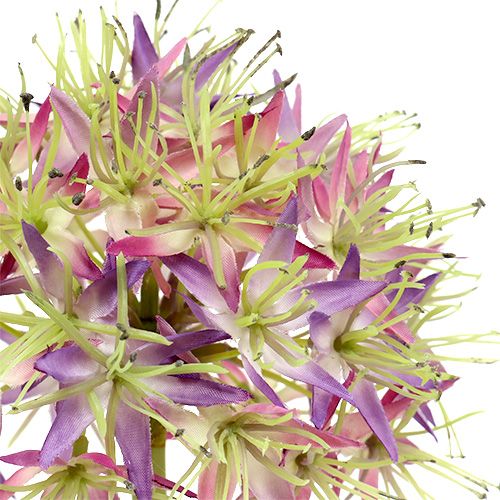 Floristik24 Allium roxo claro L76cm