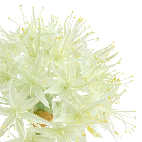 Itens Allium creme branco L76cm