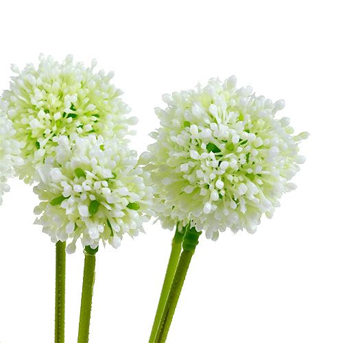 Itens Allium 35cm branco 6pcs