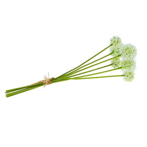 Floristik24 Allium 35cm branco 6pcs