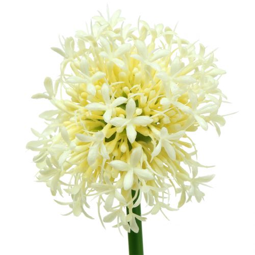 Floristik24 Cebola decorativa Allium branca artificial 51 cm 4 unidades