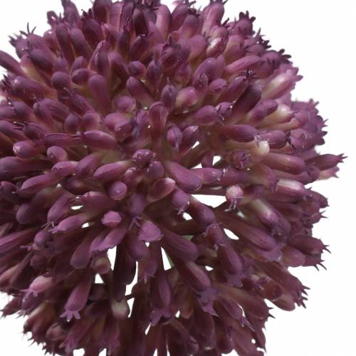 Floristik24 Ornamental allium lilás artificial Ø8cm 58cm