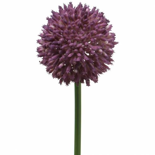 Ornamental allium lilás artificial Ø8cm 58cm