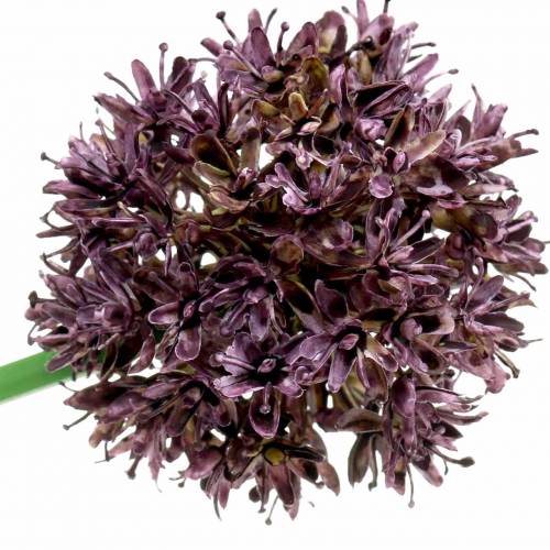 Floristik24 Cebola ornamental Allium artificial roxo Ø7cm Alt.58cm 4 unidades