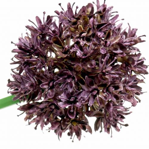 Itens Cebola ornamental Allium artificial roxo Ø7cm Alt.58cm 4 unidades