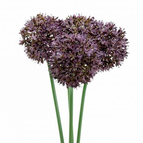 Floristik24 Cebola ornamental Allium artificial roxo Ø7cm Alt.58cm 4 unidades