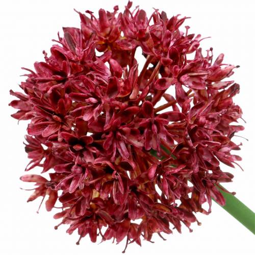Itens Cebola decorativa Allium malva artificial Ø7cm Alt.58cm 4 unidades