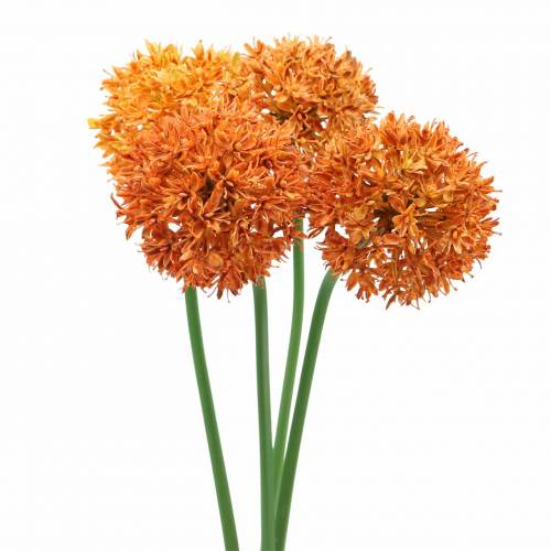 Floristik24 Cebola decorativa Allium laranja artificial Ø7cm Alt.58cm 4 unidades