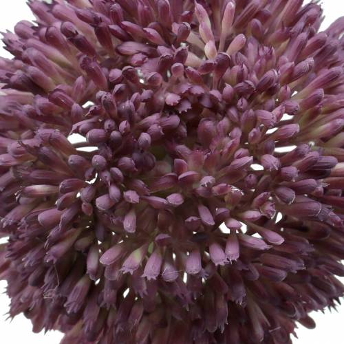 Floristik24 Ornamental allium lilás artificial Ø12cm 65cm