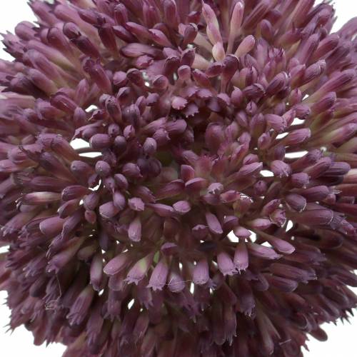 Itens Ornamental allium lilás artificial Ø12cm 65cm