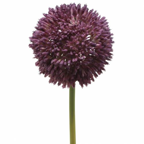 Ornamental allium lilás artificial Ø12cm 65cm