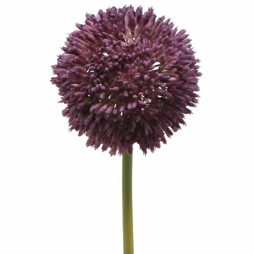 Floristik24 Ornamental allium lilás artificial Ø12cm 65cm