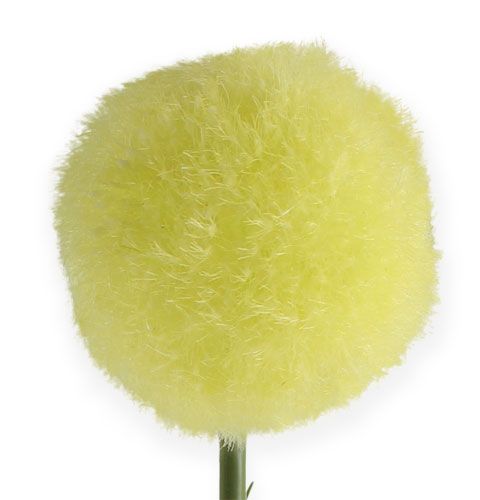 Itens Amarelo Allium 68cm
