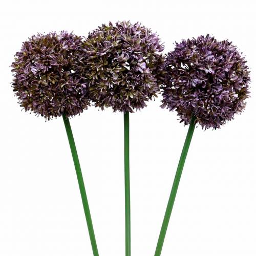 Floristik24 Cebola decorativa Allium artificial lilás 70 cm 3 unidades