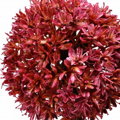 Floristik24 Cebola decorativa Allium malva artificial Ø9cm Alt.70cm 3 unidades