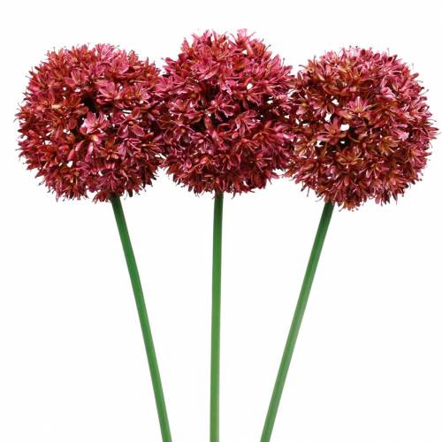 Floristik24 Cebola decorativa Allium malva artificial Ø9cm Alt.70cm 3 unidades