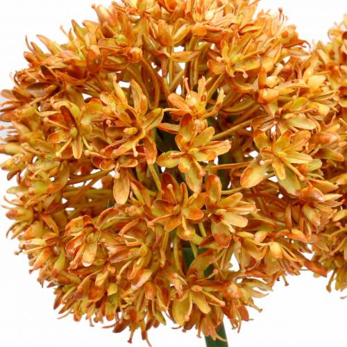 Floristik24 Cebola decorativa Allium laranja artificial 70 cm 3 unidades