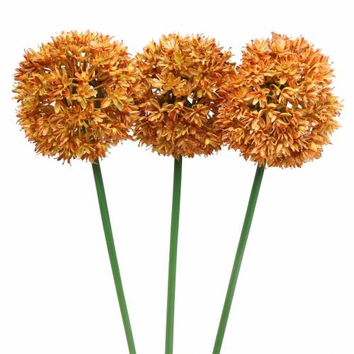 Floristik24 Cebola decorativa Allium laranja artificial 70 cm 3 unidades