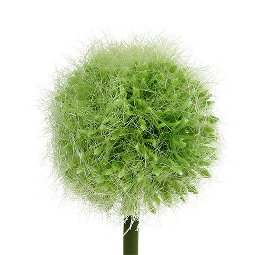 Floristik24 Allium verde L37.5cm 4pcs