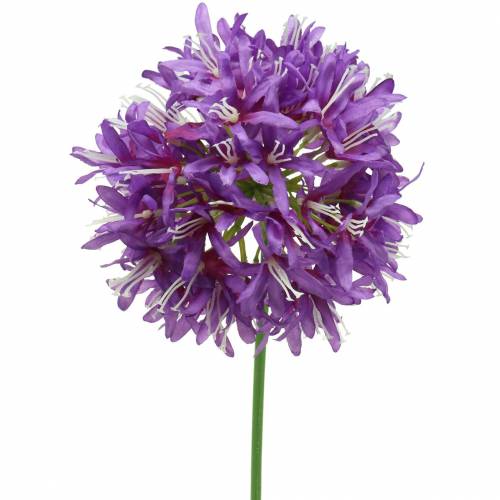 Itens Allium ornamental roxo artificial Ø12cm Alt.62cm