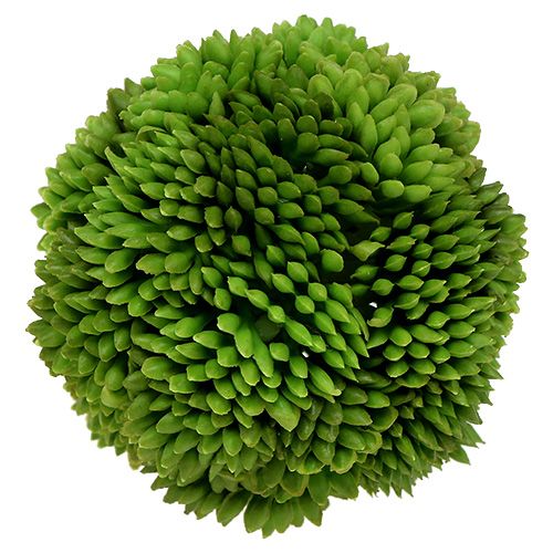 Floristik24 Bola Allium 5cm verde 4pcs