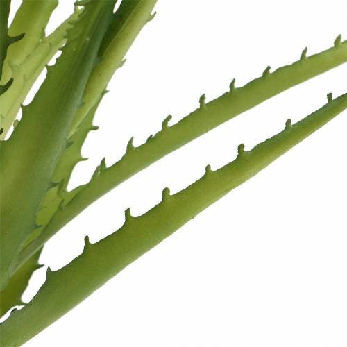 Itens Aloe Vera artificial Verde 26cm