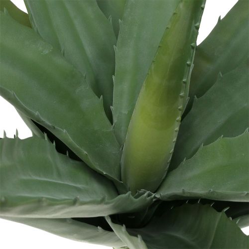 Floristik24 Ramo de babosa verde artificial 47cm