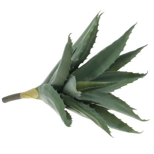 Floristik24 Ramo de babosa verde artificial 47cm