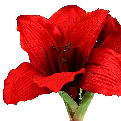 Itens Amaryllis red L 68cm 1p