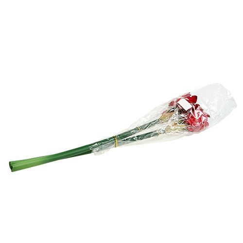Floristik24 Amaryllis red L 73cm 2pcs