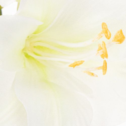 Flor artificial de amarílis branca, com haste, para o Advento e Natal, 50 cm | Floristik24.pt