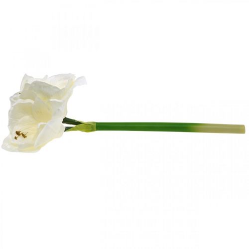 Floristik24 Flor artificial de amarílis estrela de cavaleiro branco Decoração de Natal Alt.40cm
