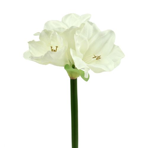 Floristik24 Amarílis artificial 60cm branco