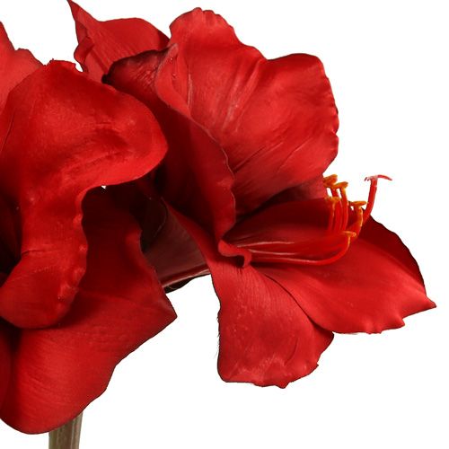 Floristik24 Amaryllis artificial grande vermelho 96,5 cm