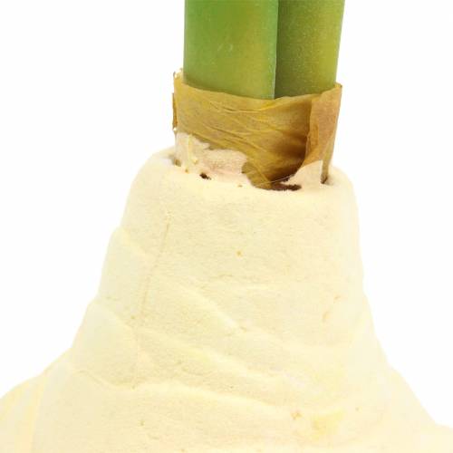 Floristik24 Tubérculo de amarílis com botões Branco artificial Alt.30cm