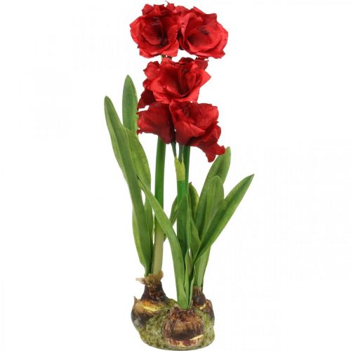 Floristik24 Amarílis artificial vermelho 3 flores de seda em bolas de musgo Alt.64cm