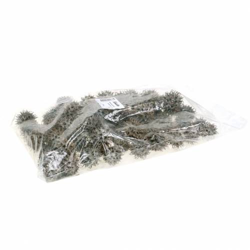 Itens Cones de Sweetgum Nature Washed Branco 250g