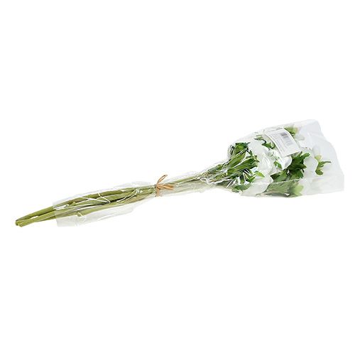 Floristik24 Anêmona branca artificial 6pcs