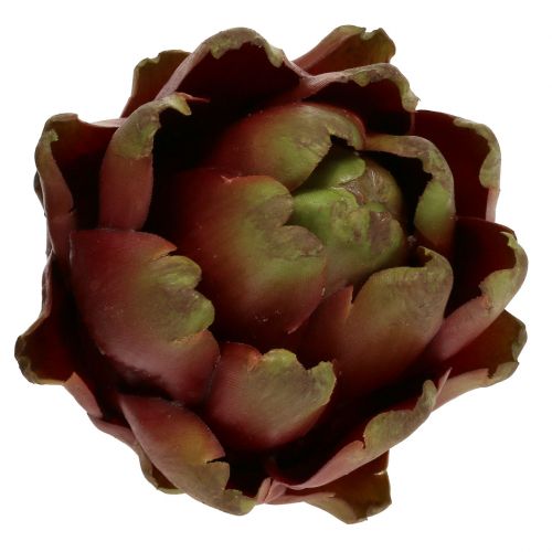 Floristik24 Alcachofra marrom, verde Ø10cm H11cm